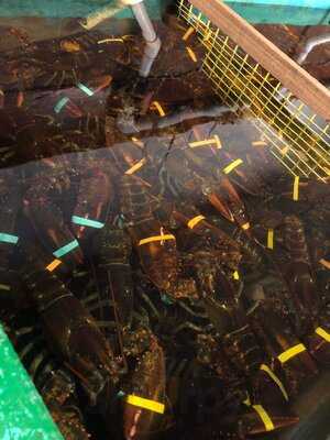 Newick's Lobster House