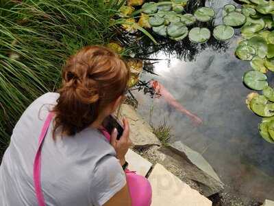 Van Gogh Cafe At Grounds For Sculpture