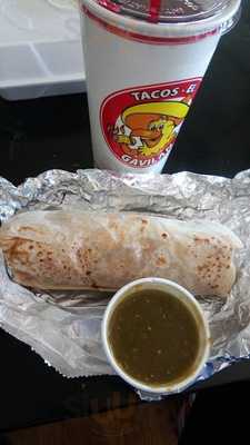 Tacos Gavilan