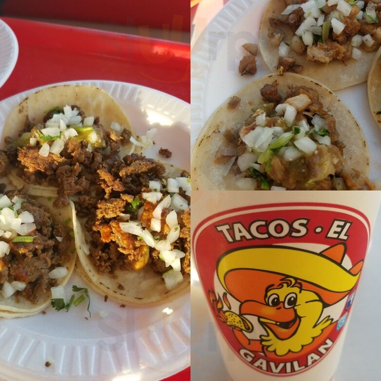 Tacos Gavilan