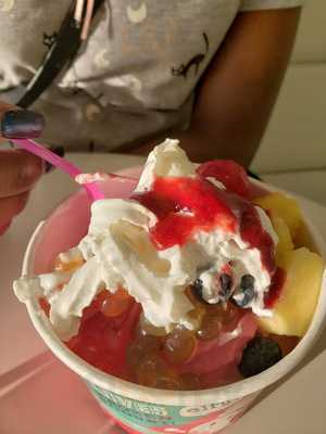 Froyoworld North Haven Ct