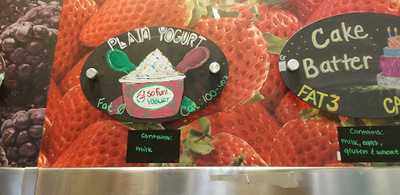 So Fun Frozen Yogurt