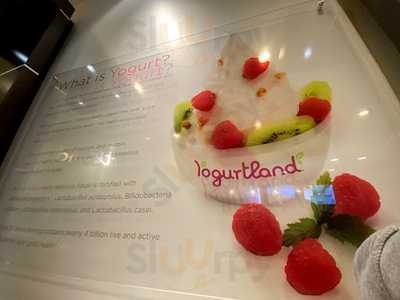 Yogurtland