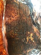 Honey Baked Ham