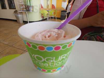 Frozerts Frozen Yogurt