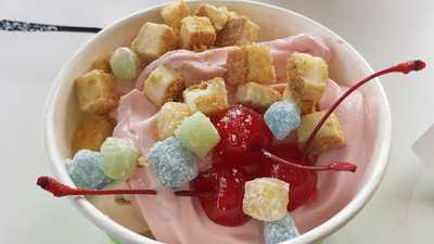 Frozerts Frozen Yogurt