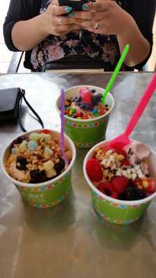 Frozerts Frozen Yogurt