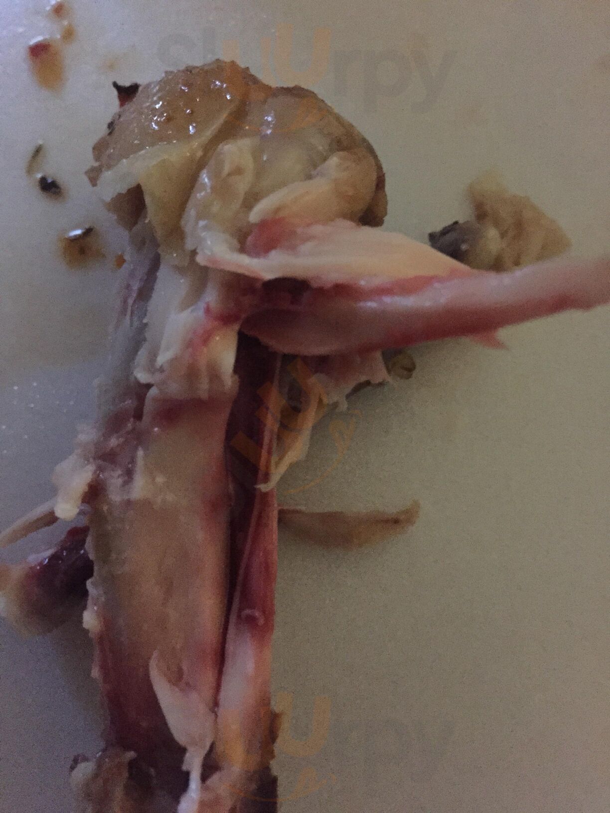 Revolutions Bar And Grill