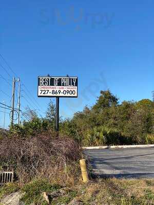 Best Of Philly Cheesesteak
