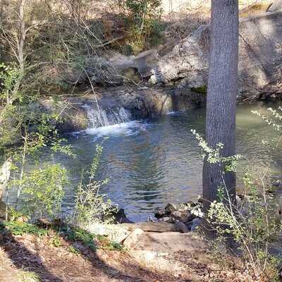 Georgia Potato Factory