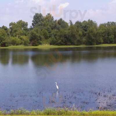 Georgia Potato Factory