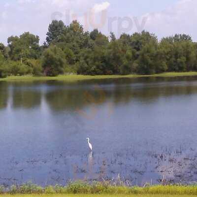 Georgia Potato Factory