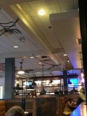 Not Your Average Joe's