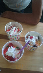Big Kahuna Frozen Yogurt