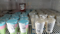 La Potosina Supermercado