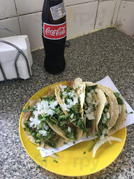 Caqueria Brenda Lee