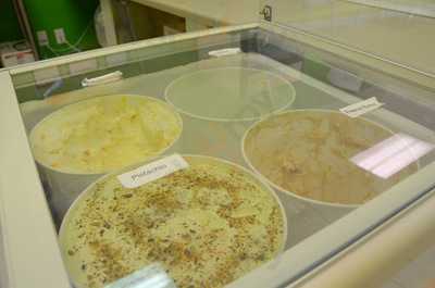 Danny's Mexican Ice Cream