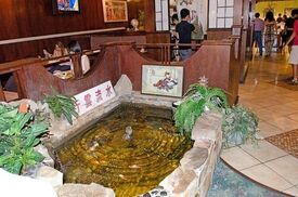 Kyojin Japanese Buffet