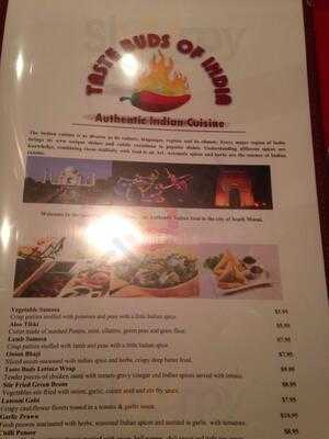Taste Buds Of India