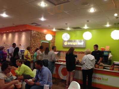 Orange Leaf Frozen Yogurt