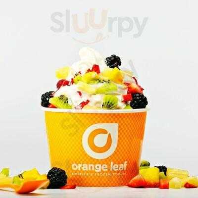 Orange Leaf Frozen Yogurt