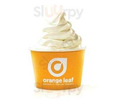 Orange Leaf Frozen Yogurt