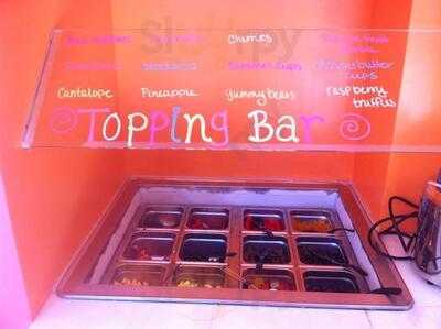 Top It Frozen Yogurt Bar
