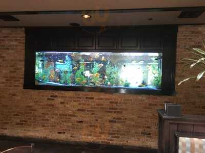 Cheddar's Scratch Kitchen