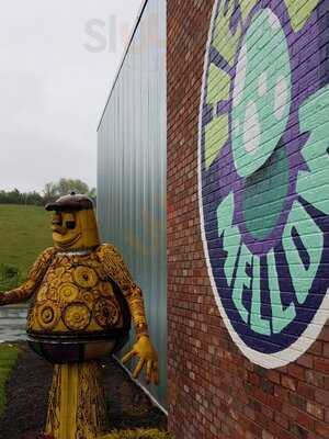 Mellow Mushroom Bristol