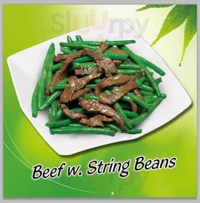 Dynasty Chinese Restaurant