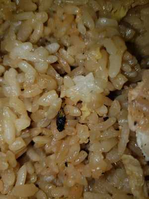 Fuji Chinese & Japanese Suchi & Grill