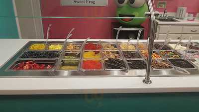 Sweet Frog Bristol