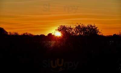 Foto 58866003