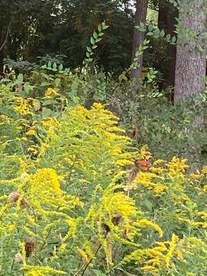 Smiths' Boathouse Restaurant