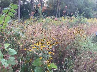 Smiths' Boathouse Restaurant
