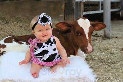 Cowgirl's Creamery At Emerson Farms