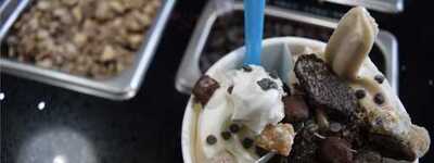 Twisted Frozen Yogurt