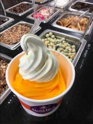Twisted Frozen Yogurt
