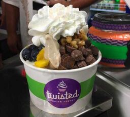 Twisted Frozen Yogurt
