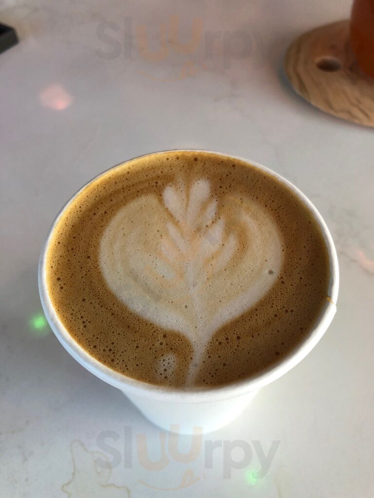 The Twisted Tulip