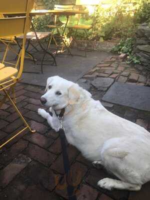 Red Dot Bar & Restaurant