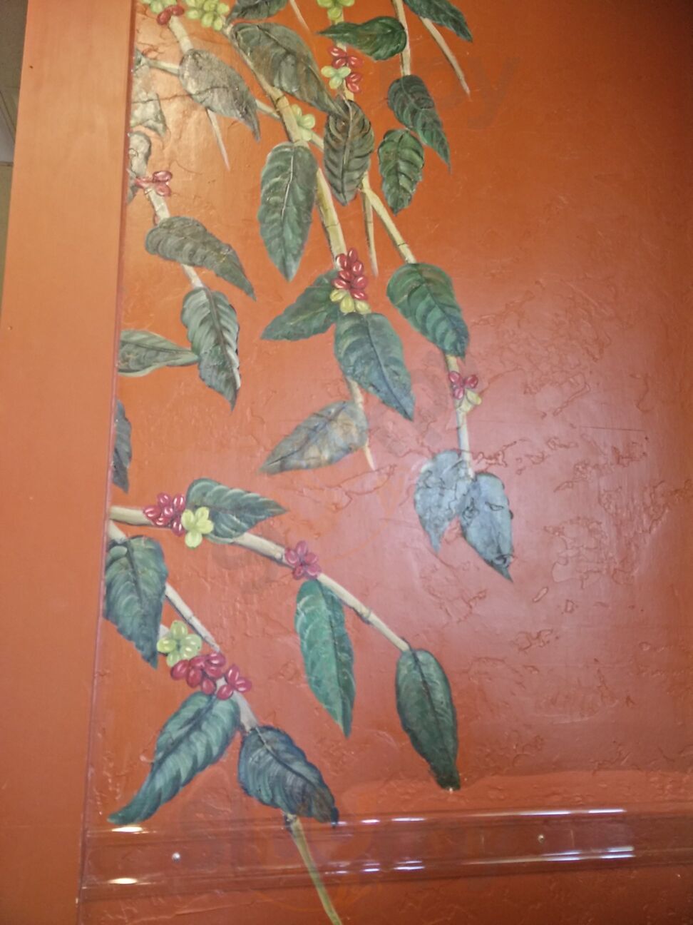 Paris Coffee Company