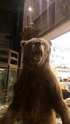 Foto 14264023