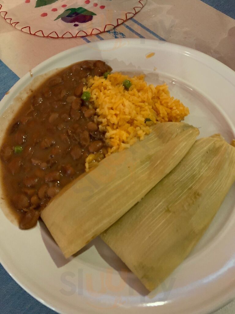 El Cilantro