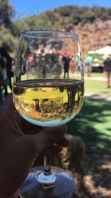 Malibu Wines