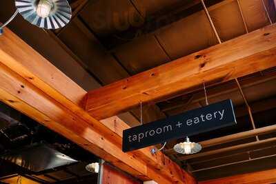 Taproot Brewing