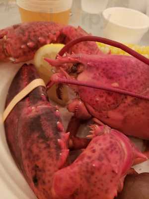 Kempenaar's Clambake Club