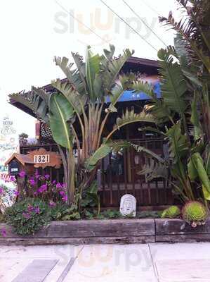 Pacifica Cafe Expresso