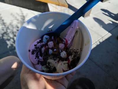 As You Wish Frozen Yogurt