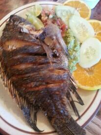 Landa's Mexican Restaurant